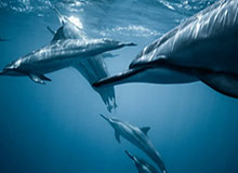 AG体育——开启你的极致线上娱乐体验