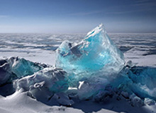 乐鱼app：掌上娱乐的新纪元