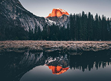 乐鱼app：掌上娱乐的新纪元